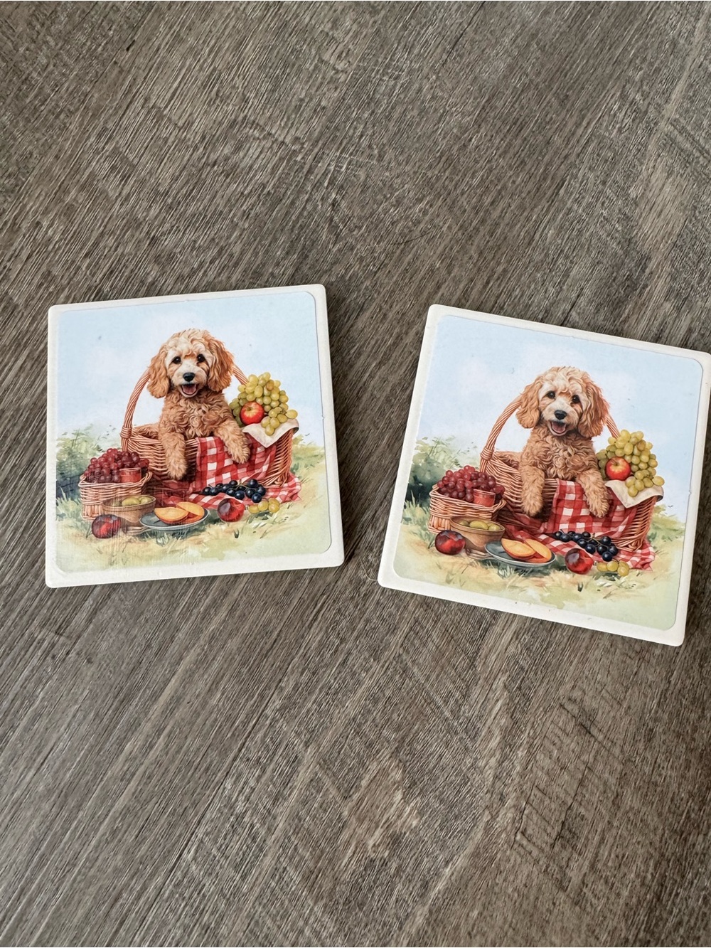 Ceramic Dog Picnic Coaster Set - White